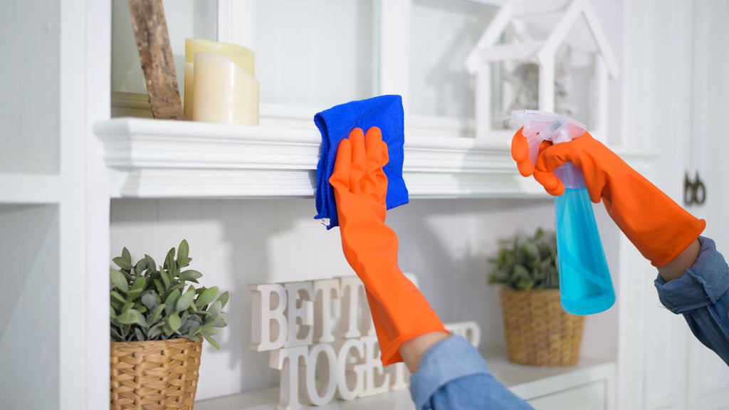Maintenance Cleaning